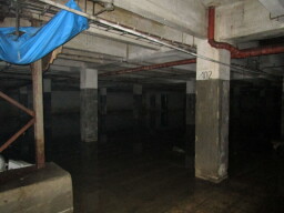 Merina 32